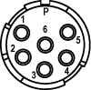 P Type Insert
