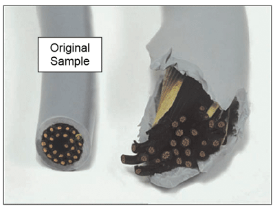 Oil Sample